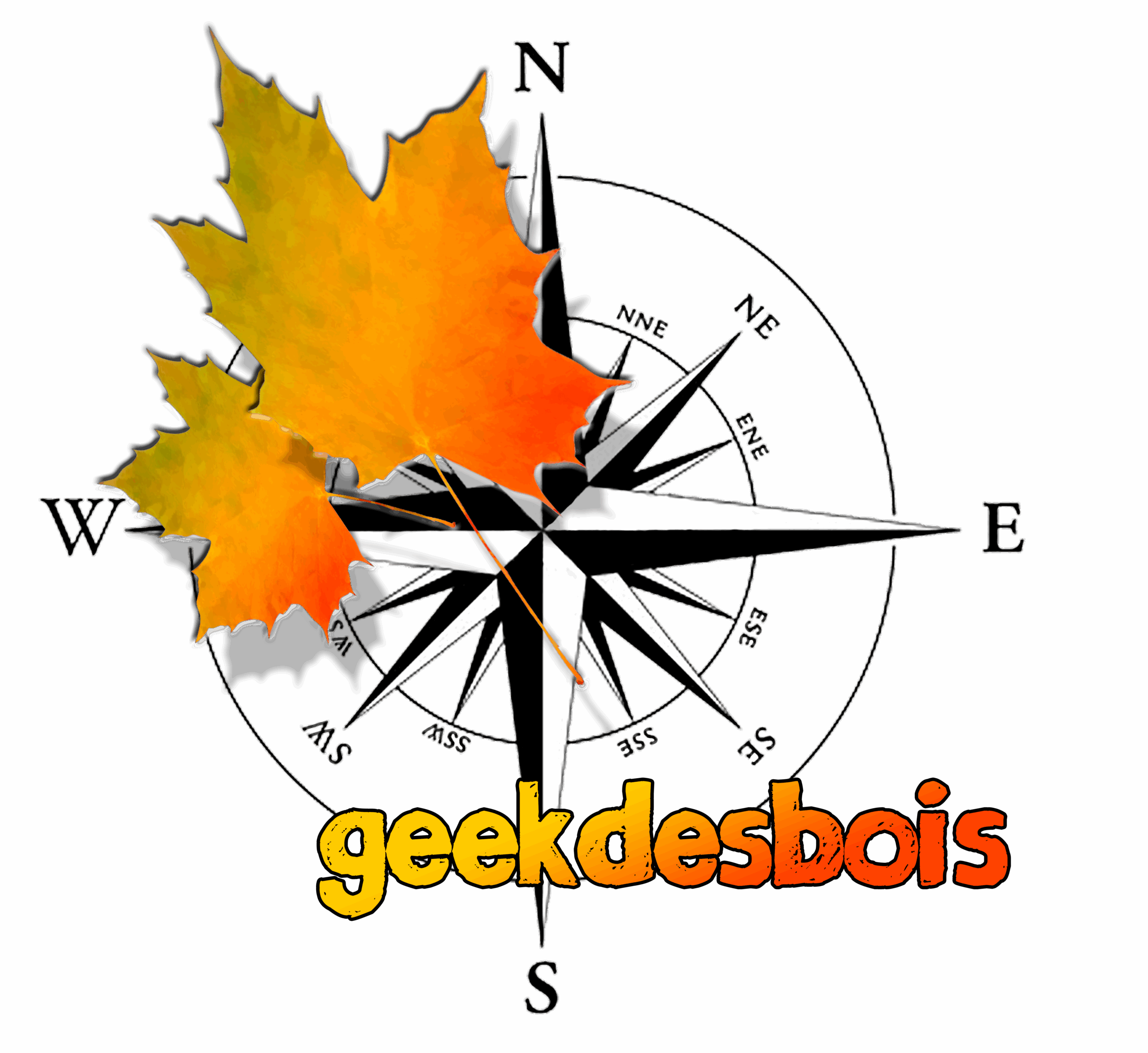 loiclevigne@geekdesbois.com